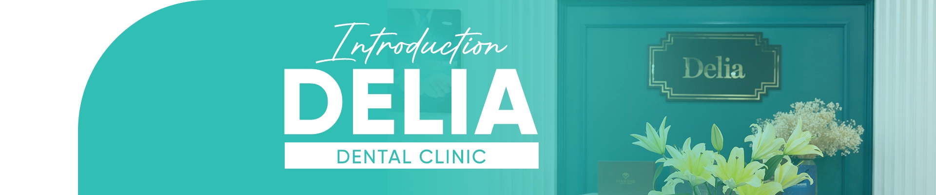 Delia Clinic Introduction Banner