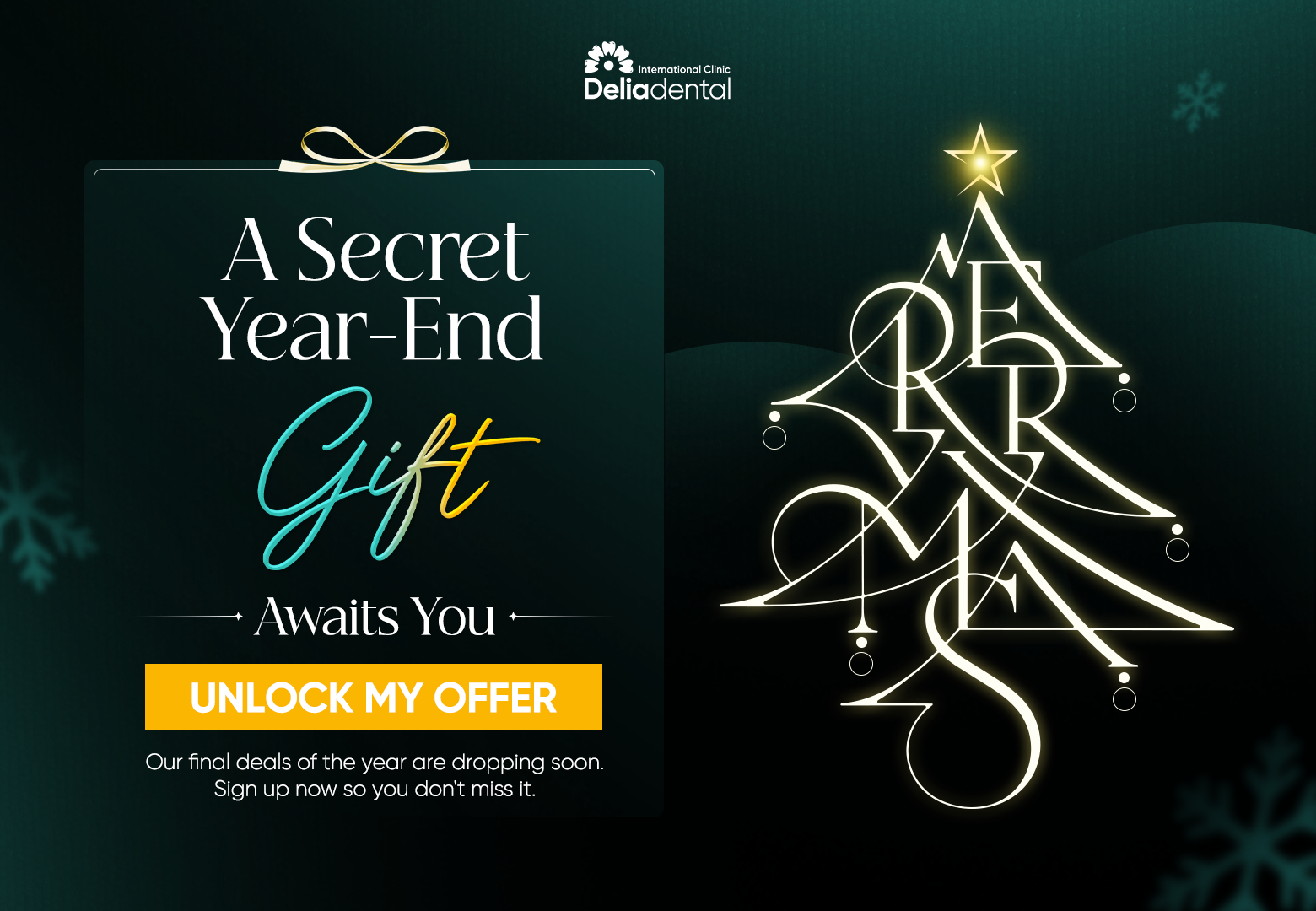A Secret End-Year Gift Awaits You - Unlock my offer